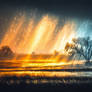 Soaked in sunshine 28