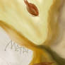 Metai