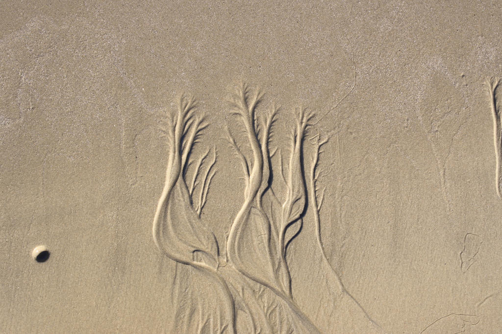 Sand ripples 3 by Elmininostock on DeviantArt