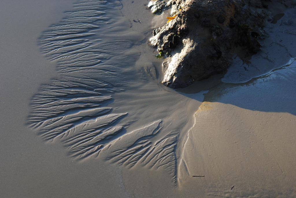 Sand Rippples Sand ripples by Elmininostock on DeviantArt
