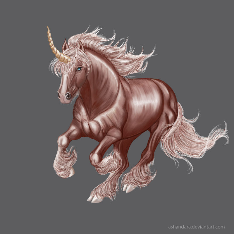 ~  Unicorn ~