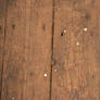 Wood floor-1
