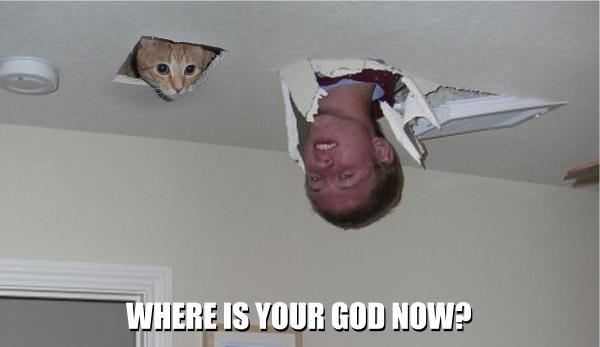 Ceiling Cat is Wrong