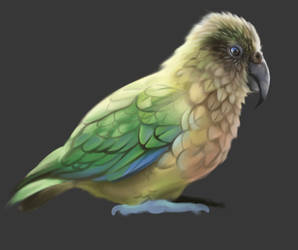 Kea