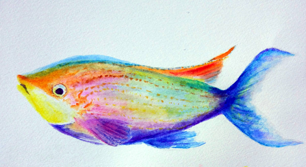 A Very Colourful Fish by Lotus105