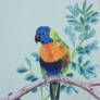 Baby Rainbow Lorikeet