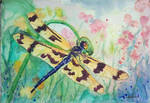 Dragonfly Meanderings by Lotus105