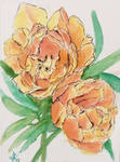Orange Blossoms by Lotus105