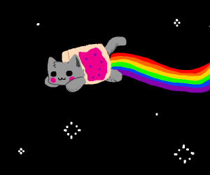 Rainbow cat