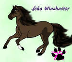 John Winchester Horse Form