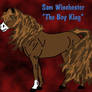 Sam Winchester Horse Form