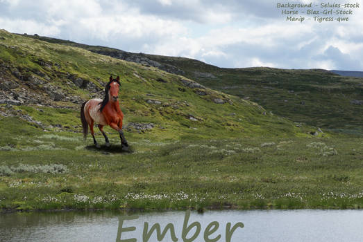Ember :: This Life isn't a Fairy Tale
