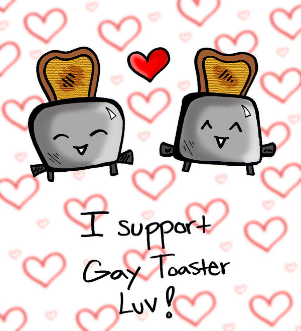 gay toaster luv