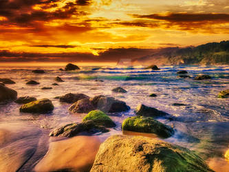 Algae--covered-beach-boulders-beach-07-24-2020-202