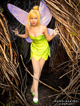 Mischievous Tinkerbell