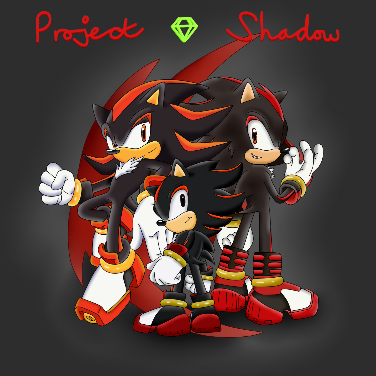 Sonic & Shadow by Doky