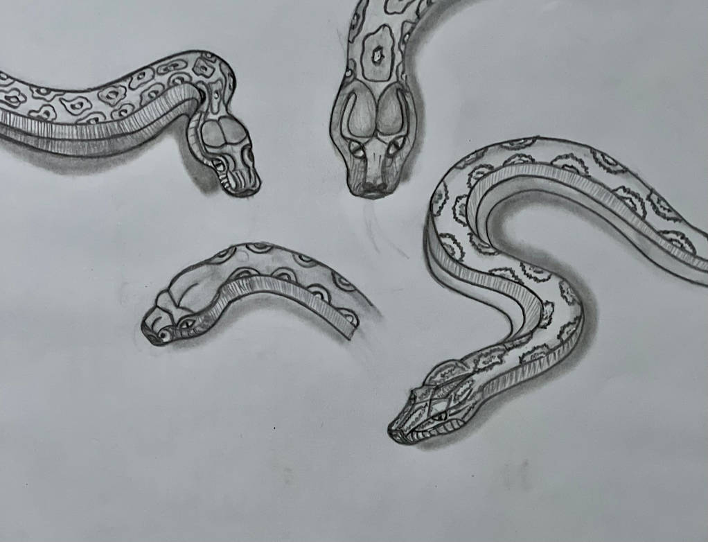 Snake poses by ninpri on DeviantArt