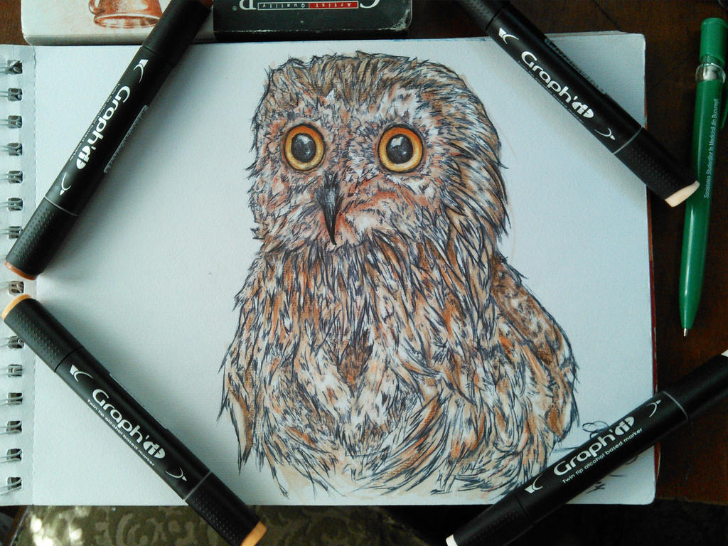 Cute Owl by kawaiiusagi23 Cute Owl by kawaiiusagi23