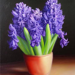 Hyacinth - The Easter Flower