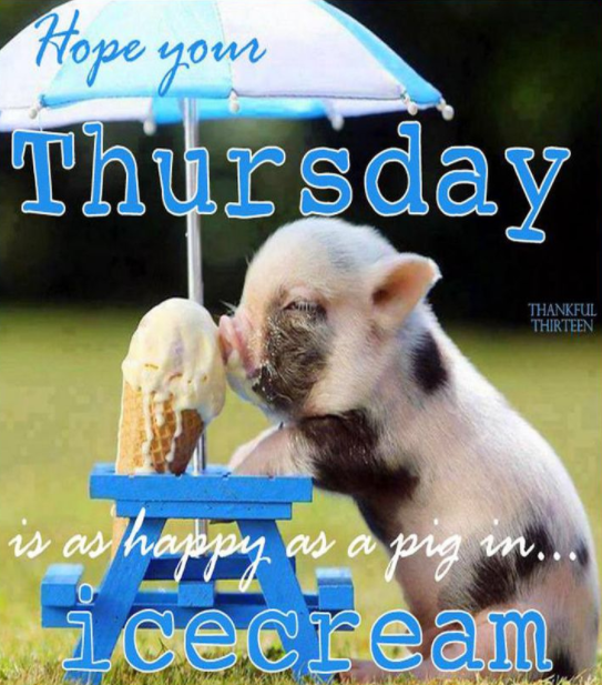 20 Best Happy Thursday Meme by ericagray on DeviantArt