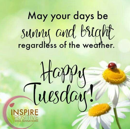 20 Best Happy Tuesday Morning Messages By Ericagray On Deviantart