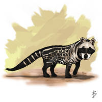 Mammals 02 - African Civet