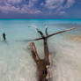 Swimming on the beach