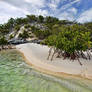 Mangrove beach 3