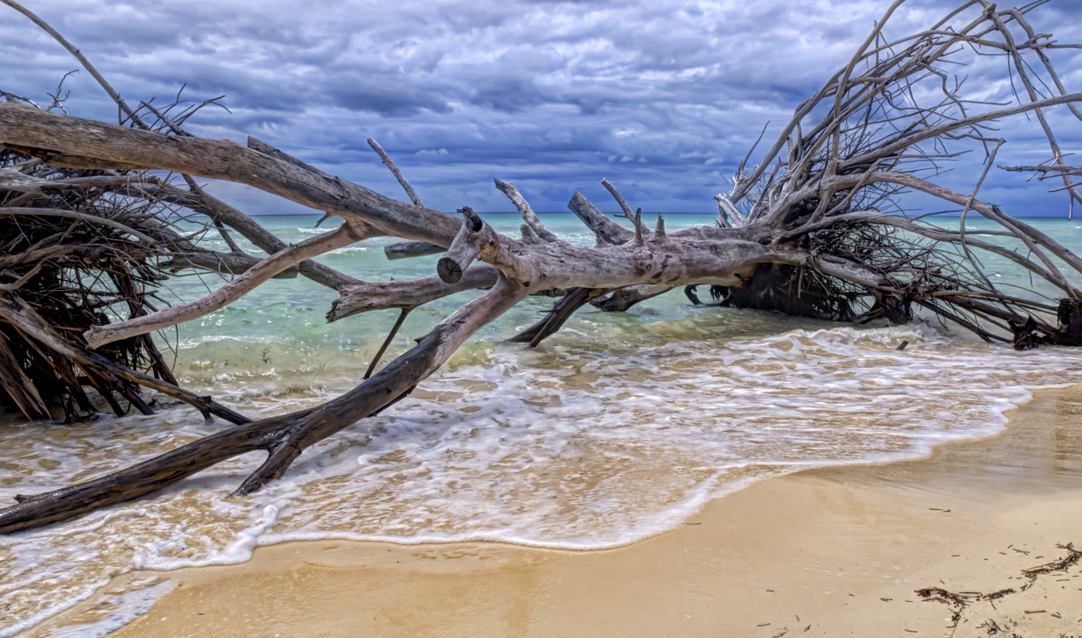 Barrier reef