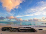 Smokepot beach by peterpateman