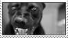 an angry dog stamp