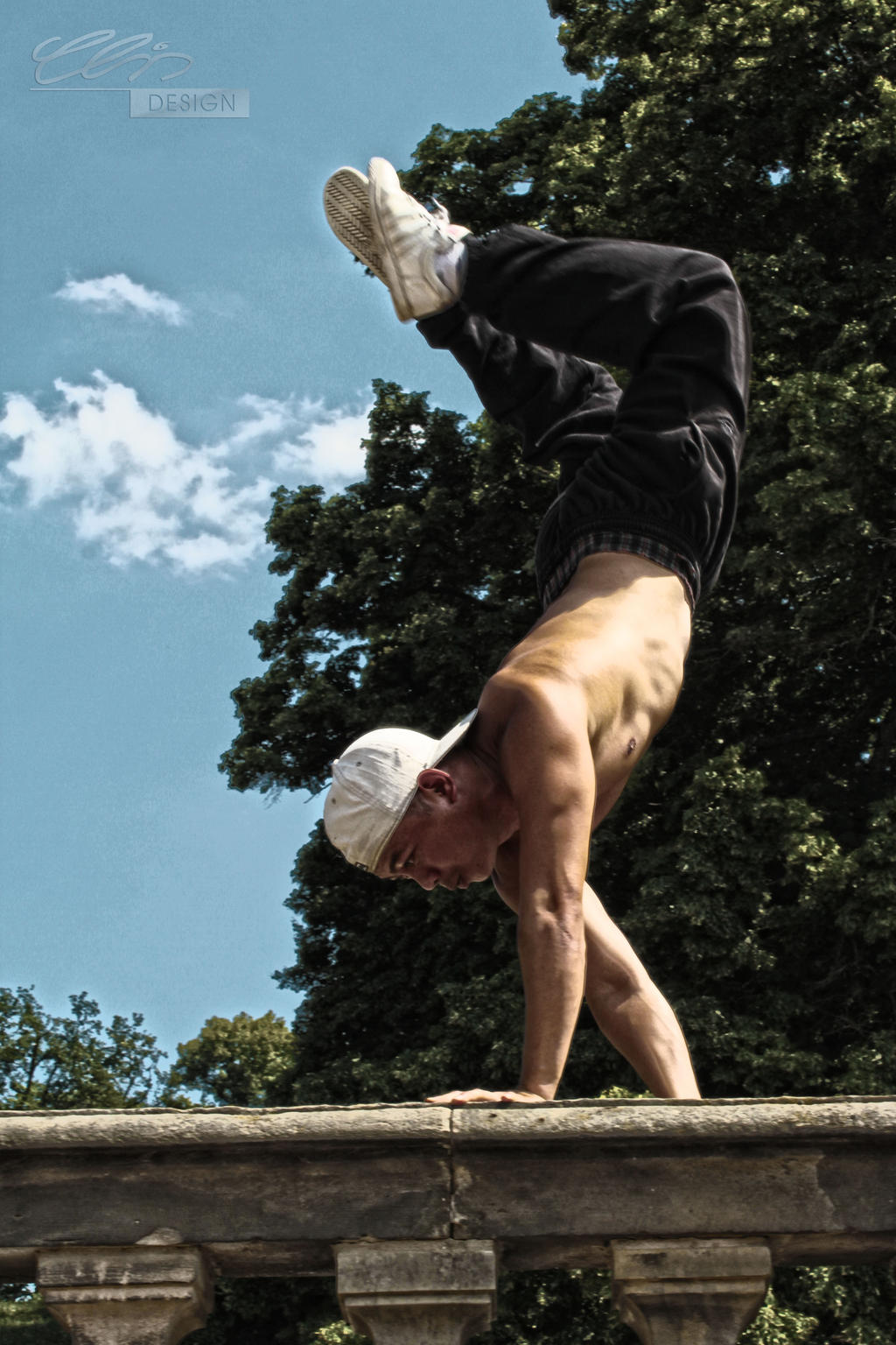 Inverted Step Walk balanced.reversed.walk by TalisinArtworkx on DeviantArt