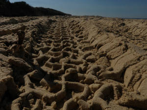 SAND TRACKS.