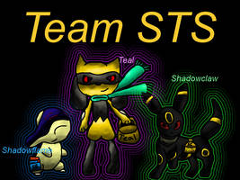 Team STS