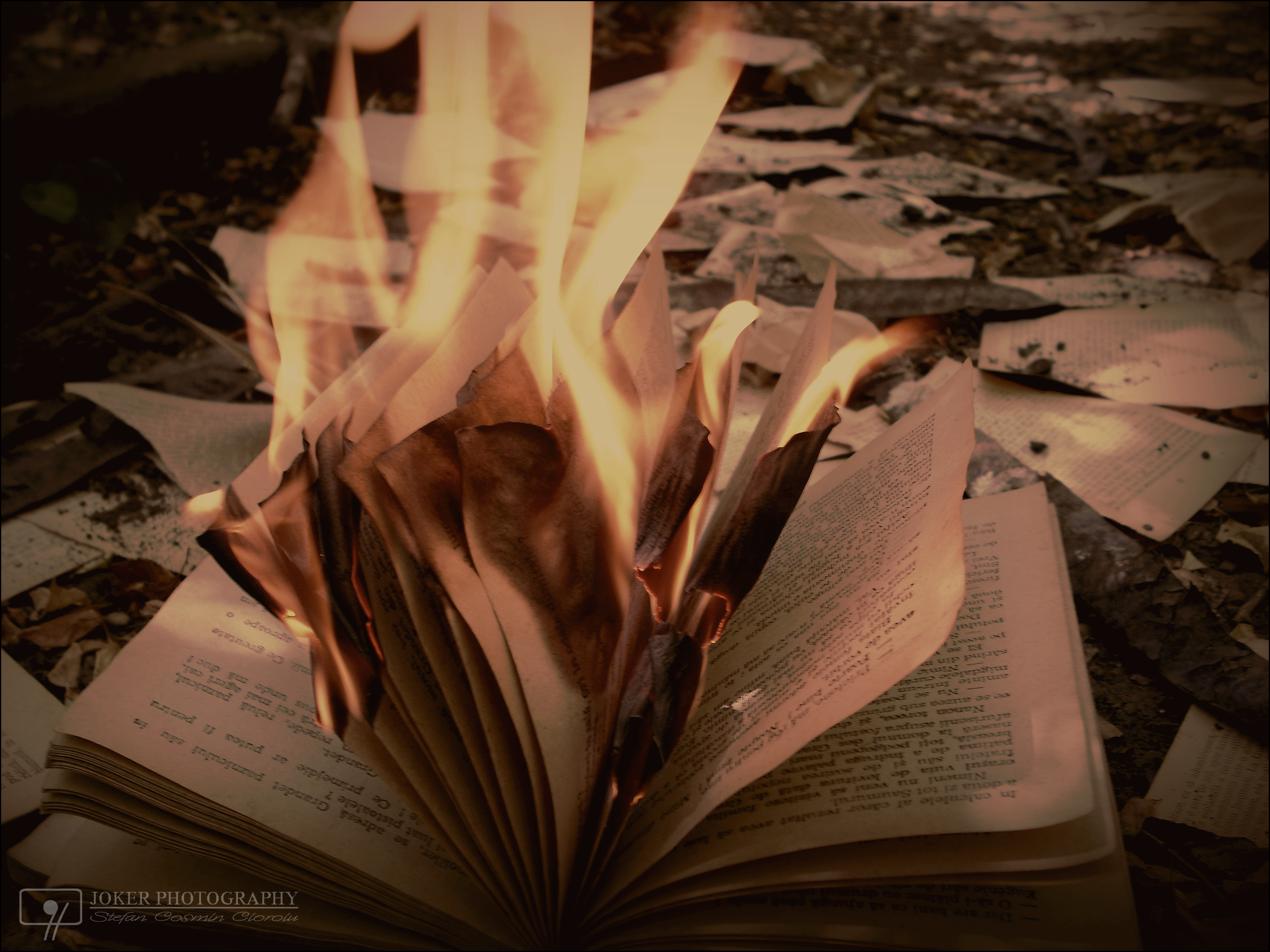 Burning book