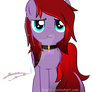 Pony OC: Lavender Incense (Again)~