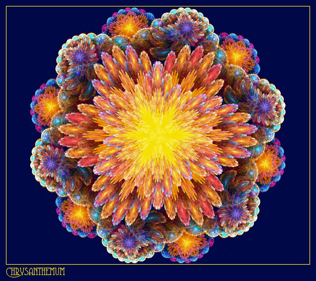 Chrysanthemum