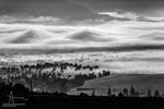 Misty Valley by BertN92 Misty Valley by BertN92