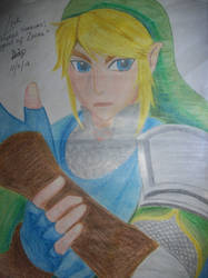 Link : Hyrule Warriors