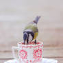 Teatime for birds II