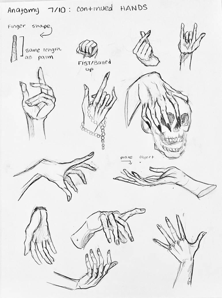 Anatomy 7/10 Hands continued by BubbleMuffinsArt on DeviantArt