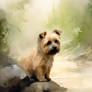 Norfolk Terrier - World of Wild Wonders