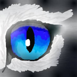 Cinderpaw's eye