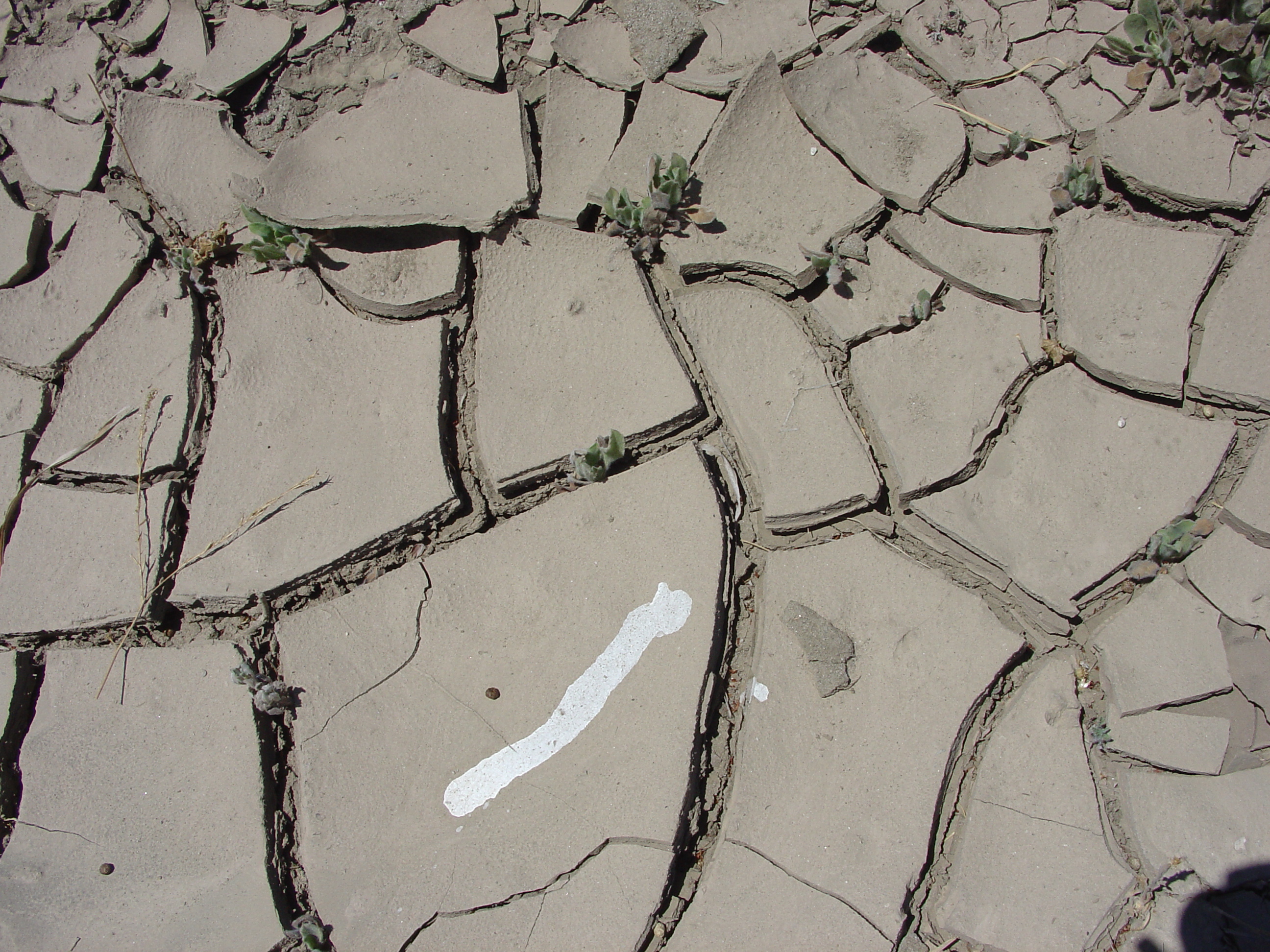 Ceiteach cracked earth 004 by ceiteach