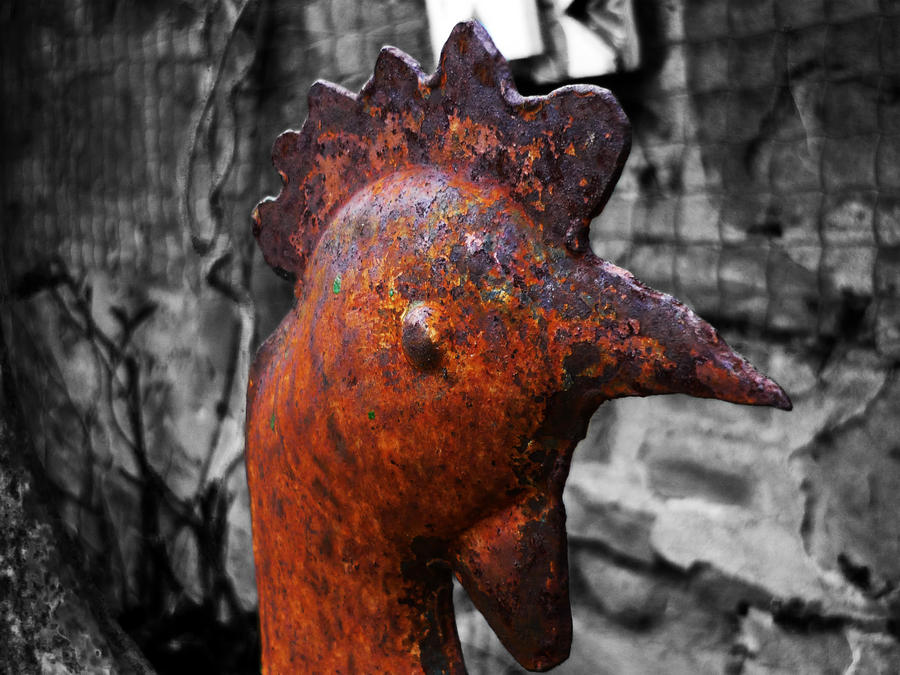 Transfixed by Syynck on DeviantArt