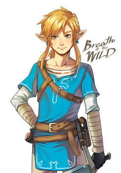 Link [BOTW ver.]