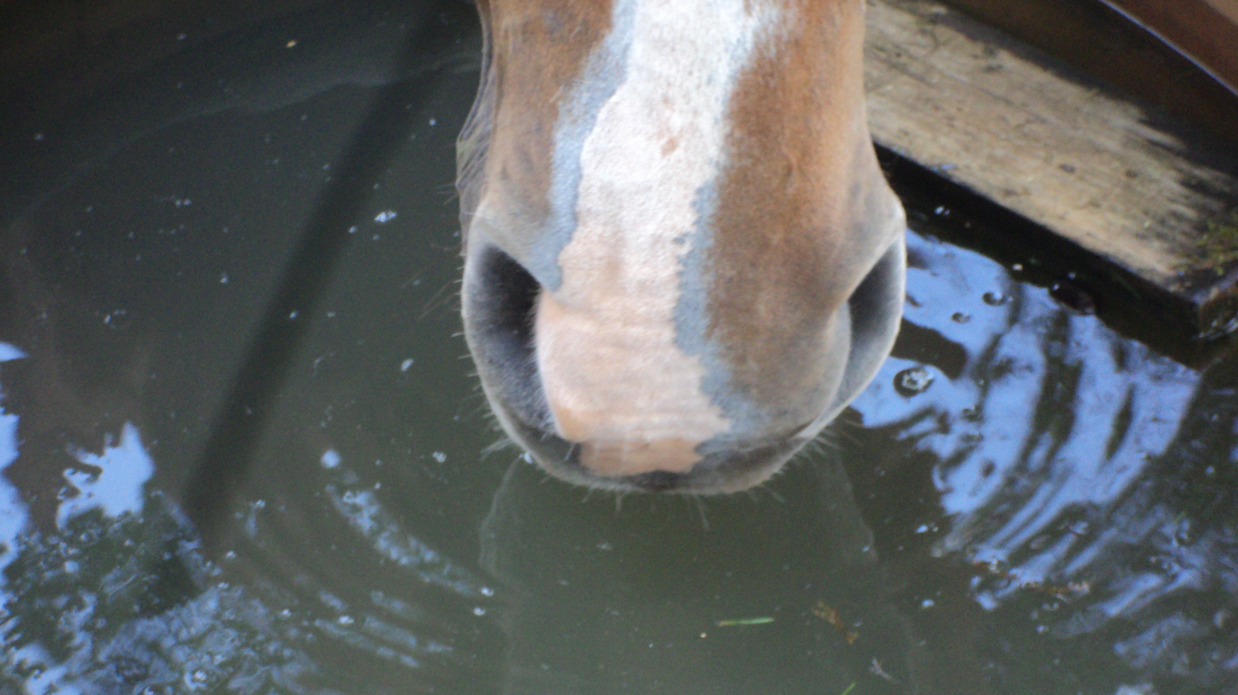 Drinking Water