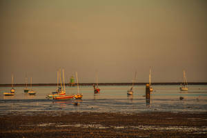 Boats in the water 3