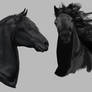 Friesian Studies