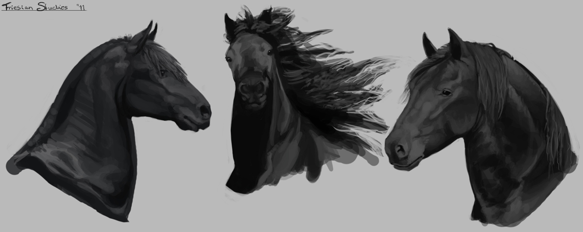 Friesian Studies